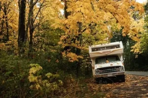 Old RV on the side of a forest road