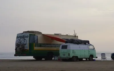 What is a Rebuilt Title, and How Does it Affect the RV Value?